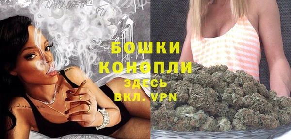 сатива Касимов