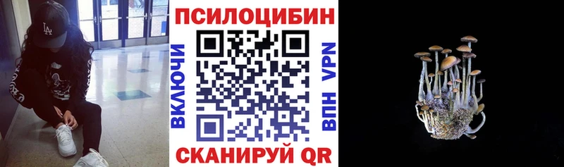 Купить где  Томилино  Галлюциногенные грибы мицелий 